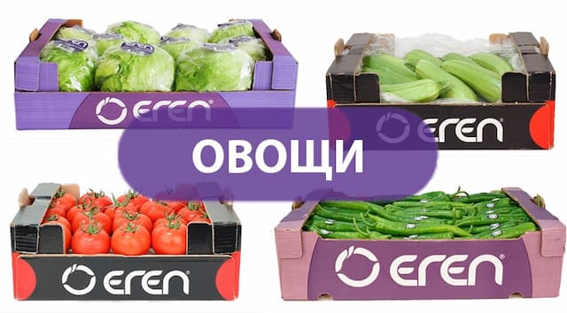 A representation of our fresh vegetables product group packed inside our companies boxes ready for export